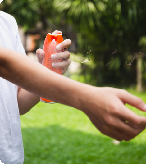 Simple Ways to Keep Mosquitoes Out of Your Home